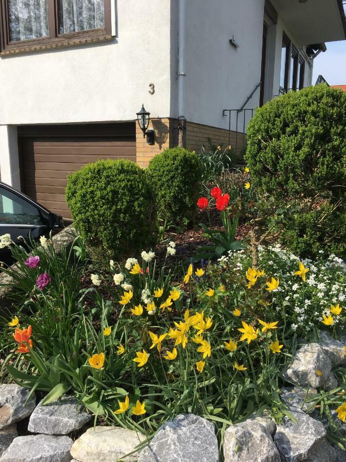 Ferienwohnung Dettum 외부 사진